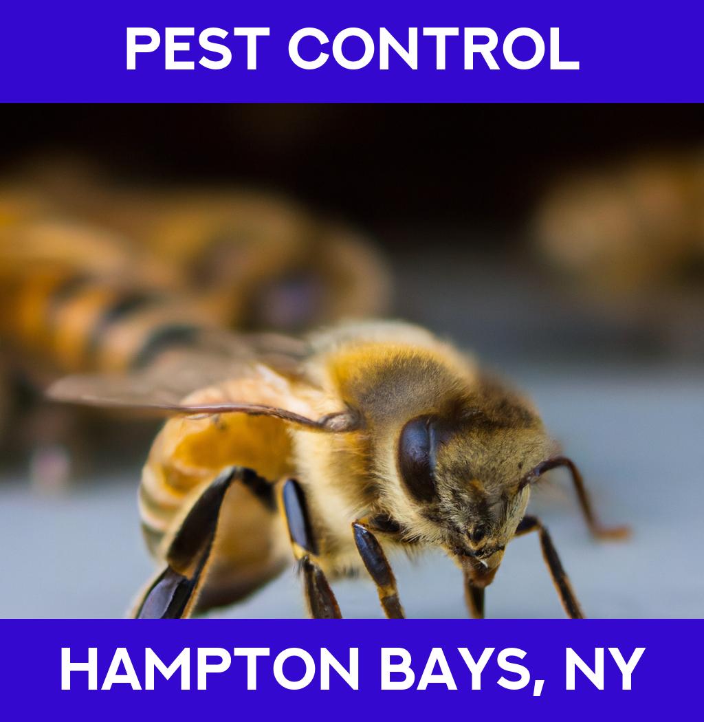 pest control in Hampton Bays New York