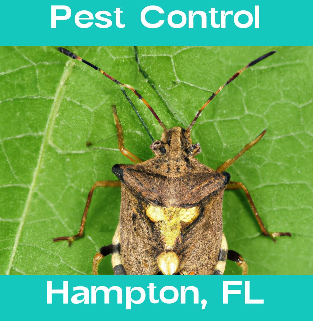 pest control in Hampton Florida