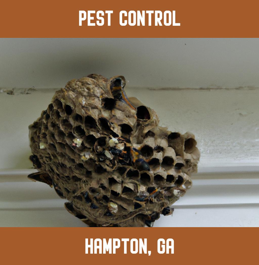 pest control in Hampton Georgia