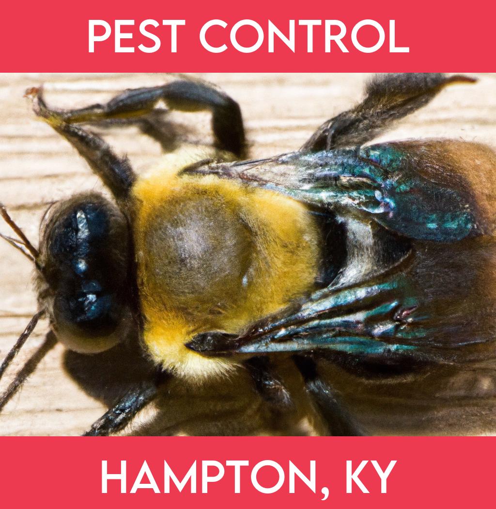 pest control in Hampton Kentucky