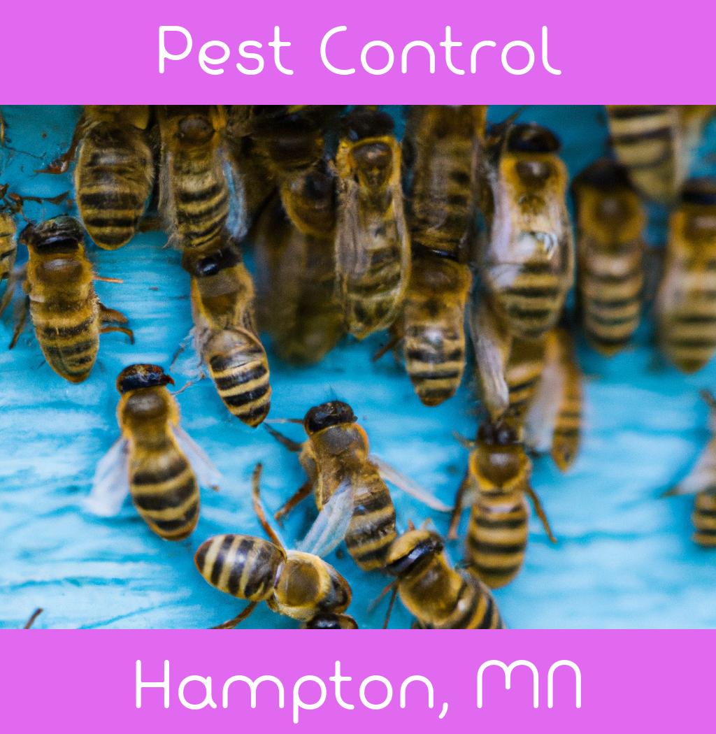 pest control in Hampton Minnesota