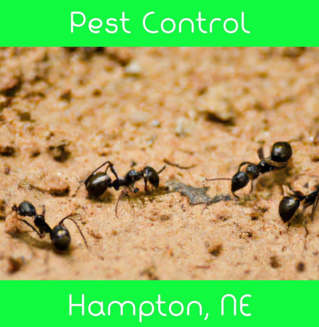 pest control in Hampton Nebraska