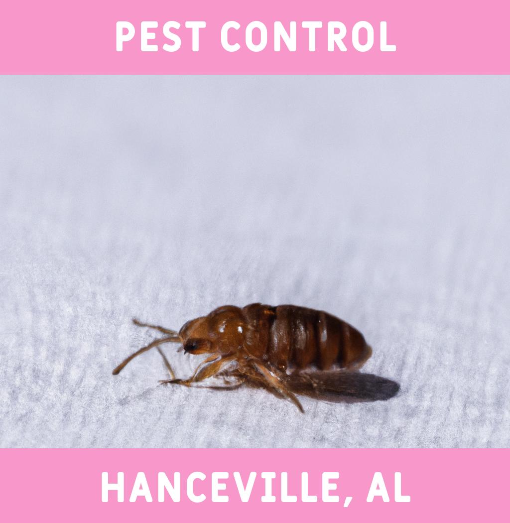 pest control in Hanceville Alabama