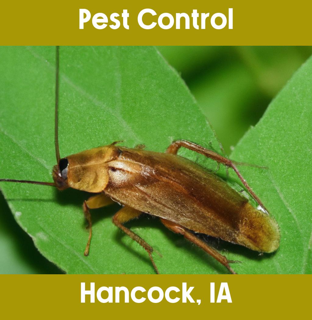 pest control in Hancock Iowa