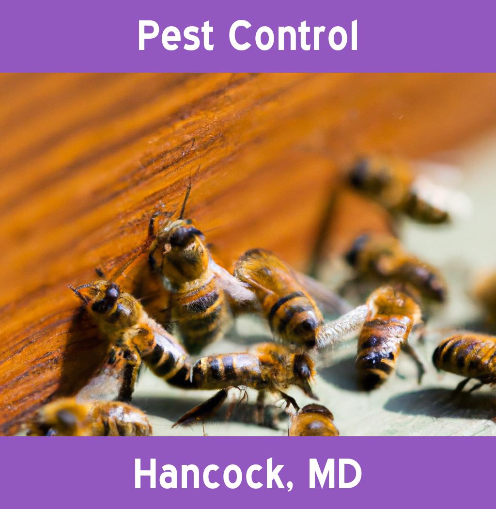 pest control in Hancock Maryland