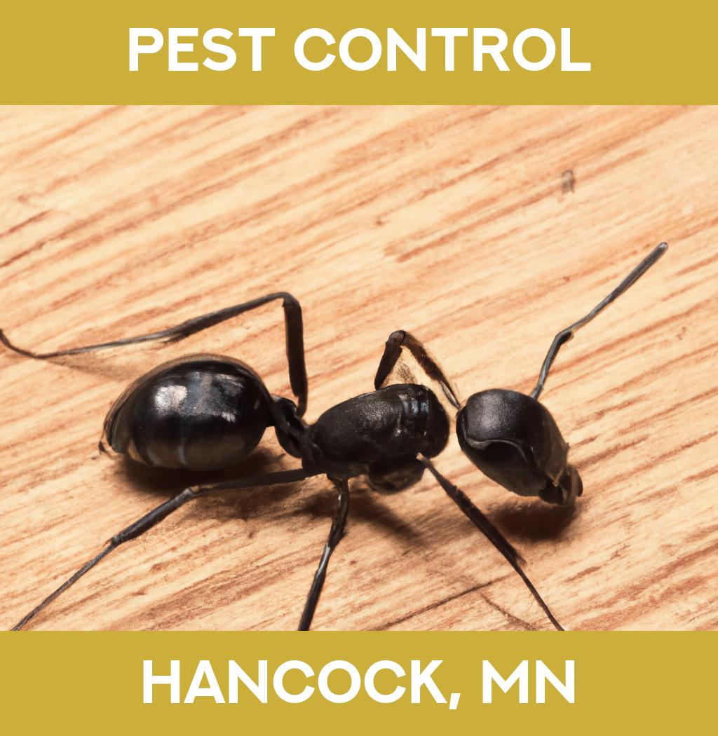 pest control in Hancock Minnesota