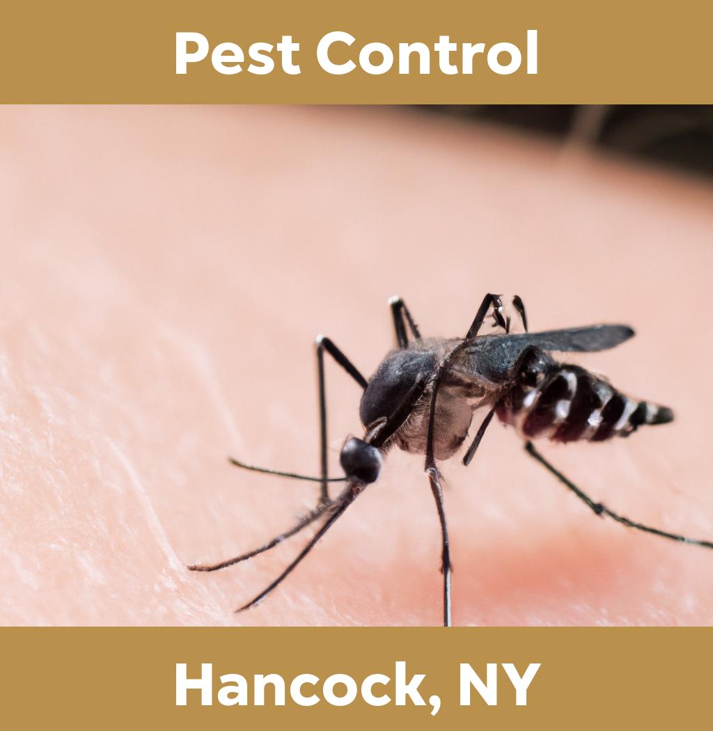 pest control in Hancock New York