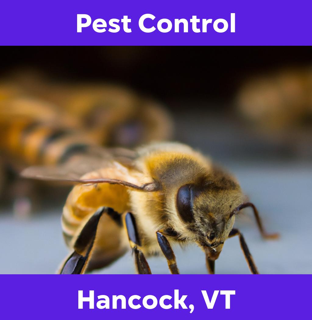 pest control in Hancock Vermont