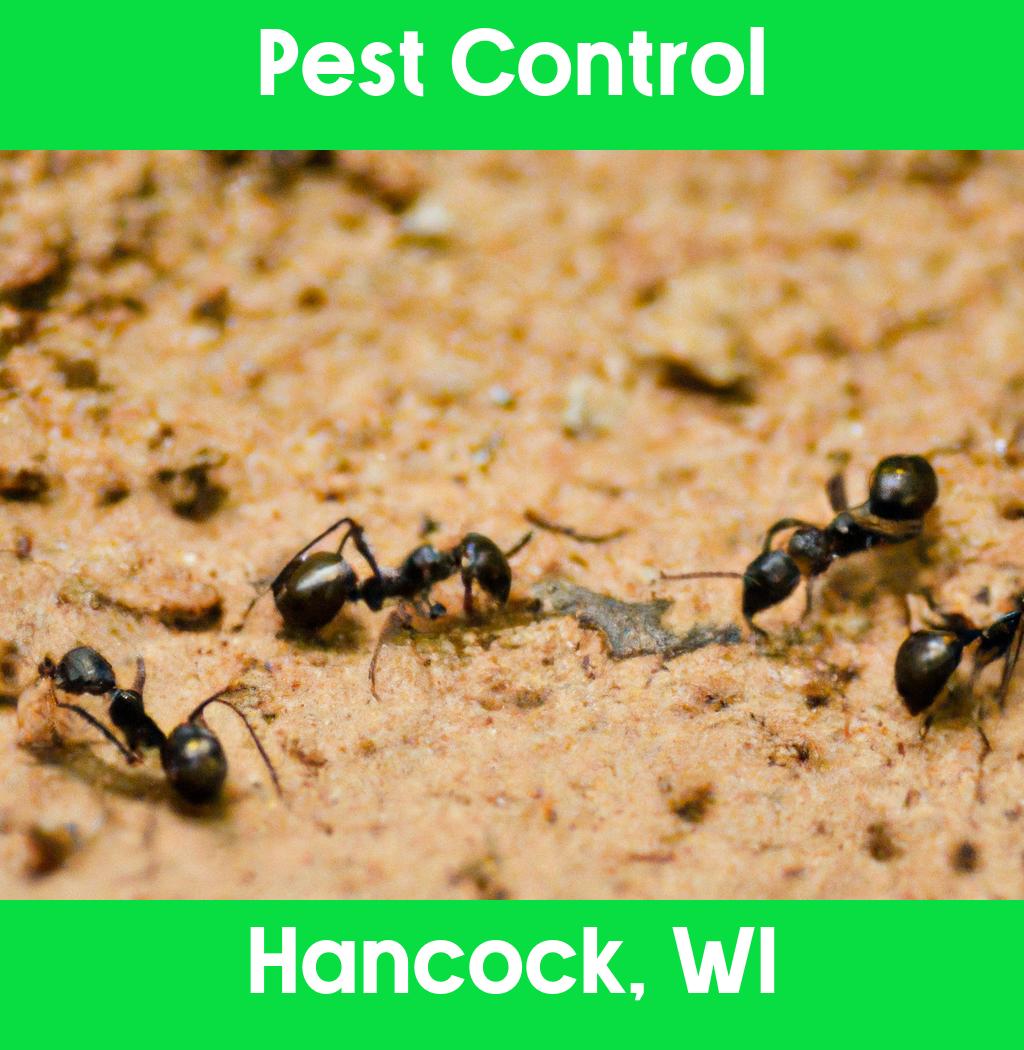 pest control in Hancock Wisconsin