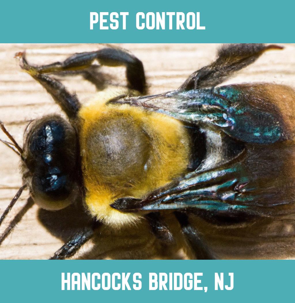 pest control in Hancocks Bridge New Jersey