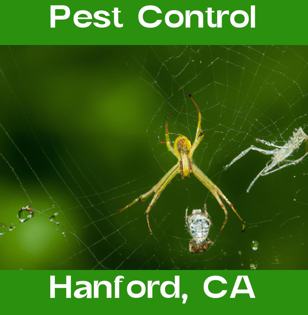 pest control in Hanford California