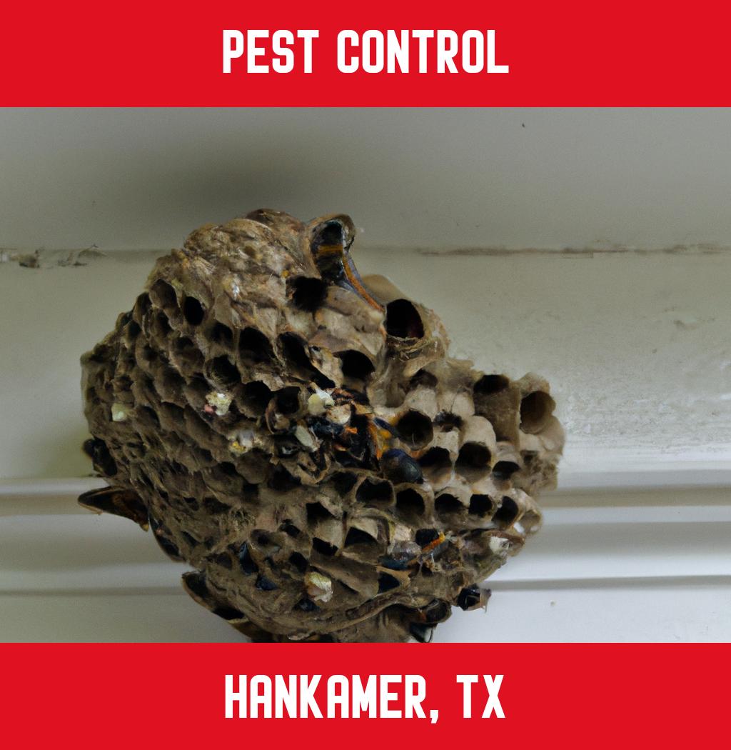 pest control in Hankamer Texas