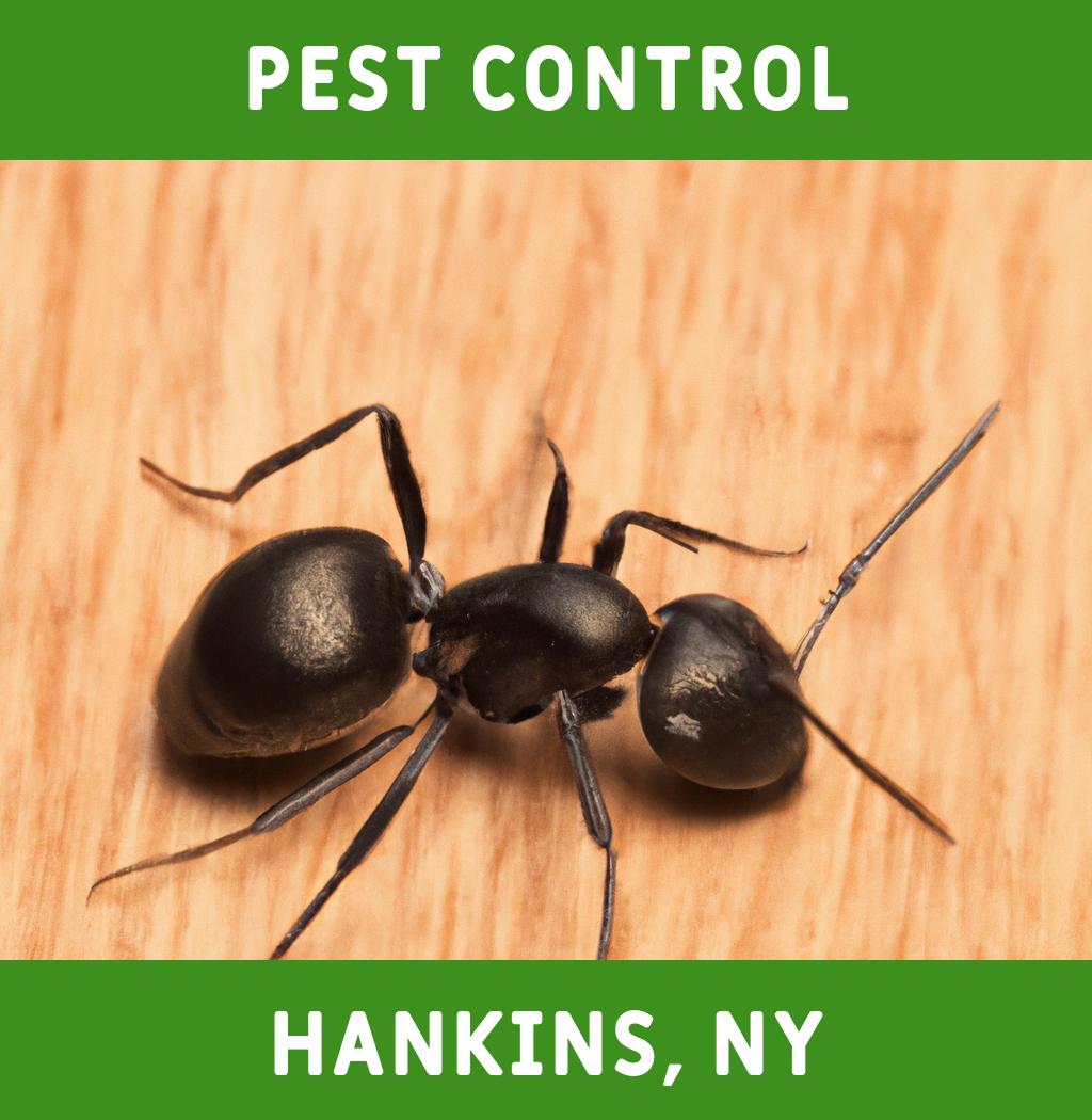 pest control in Hankins New York