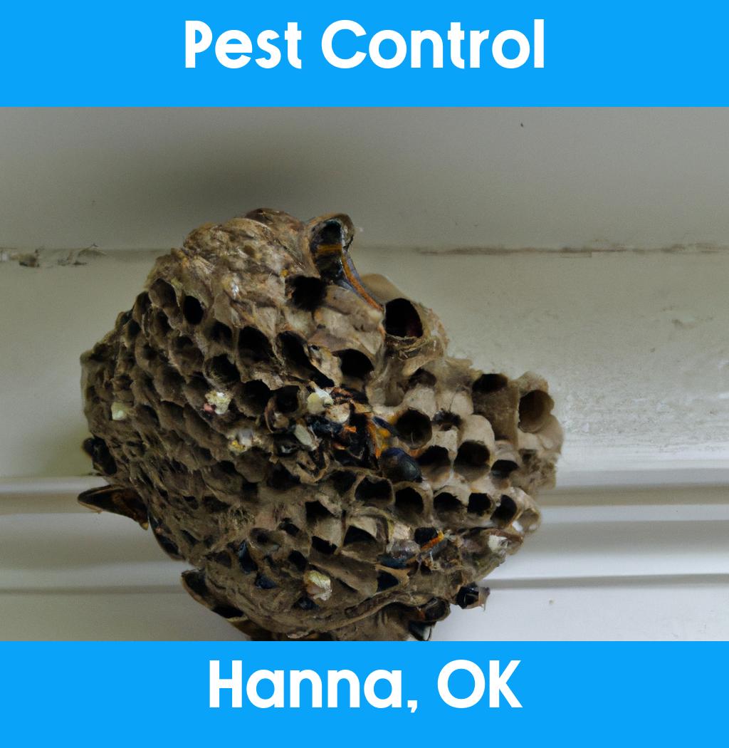 pest control in Hanna Oklahoma