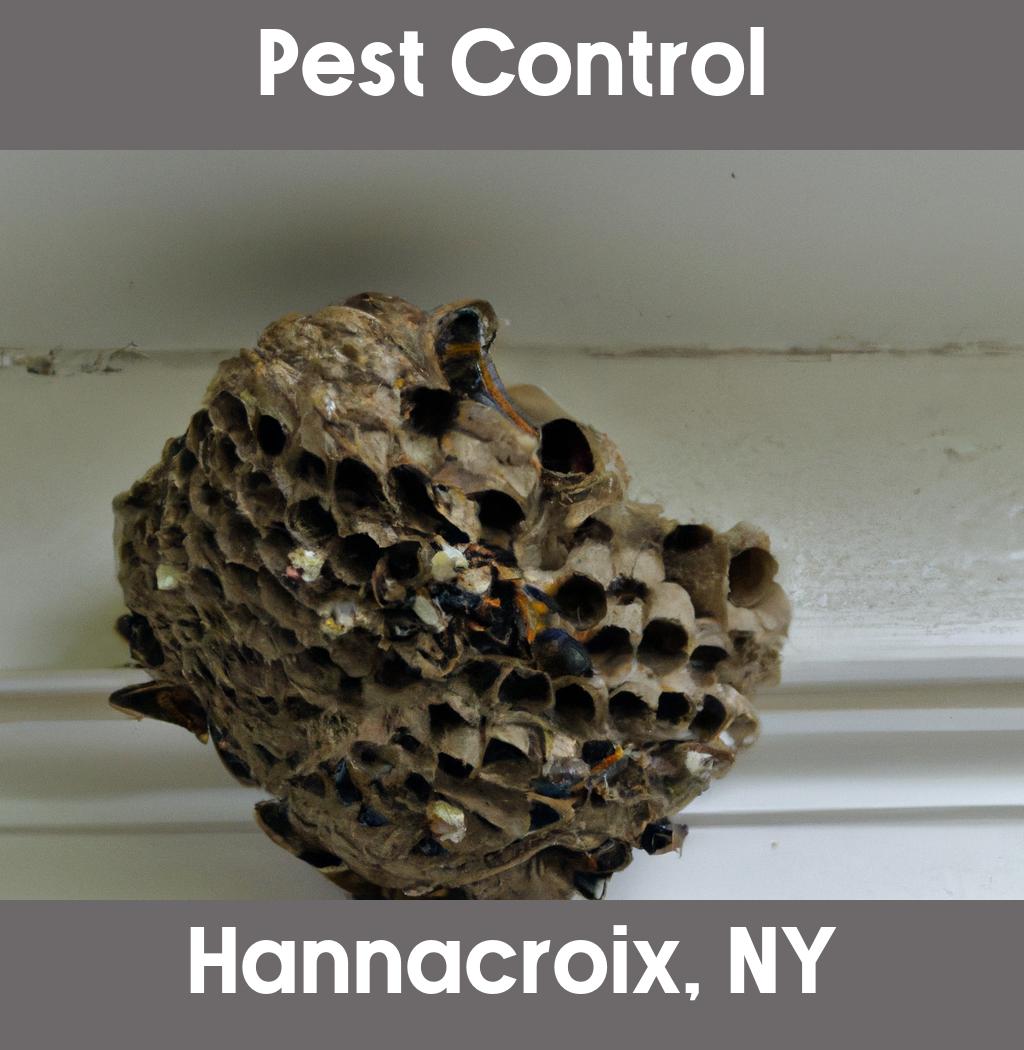pest control in Hannacroix New York
