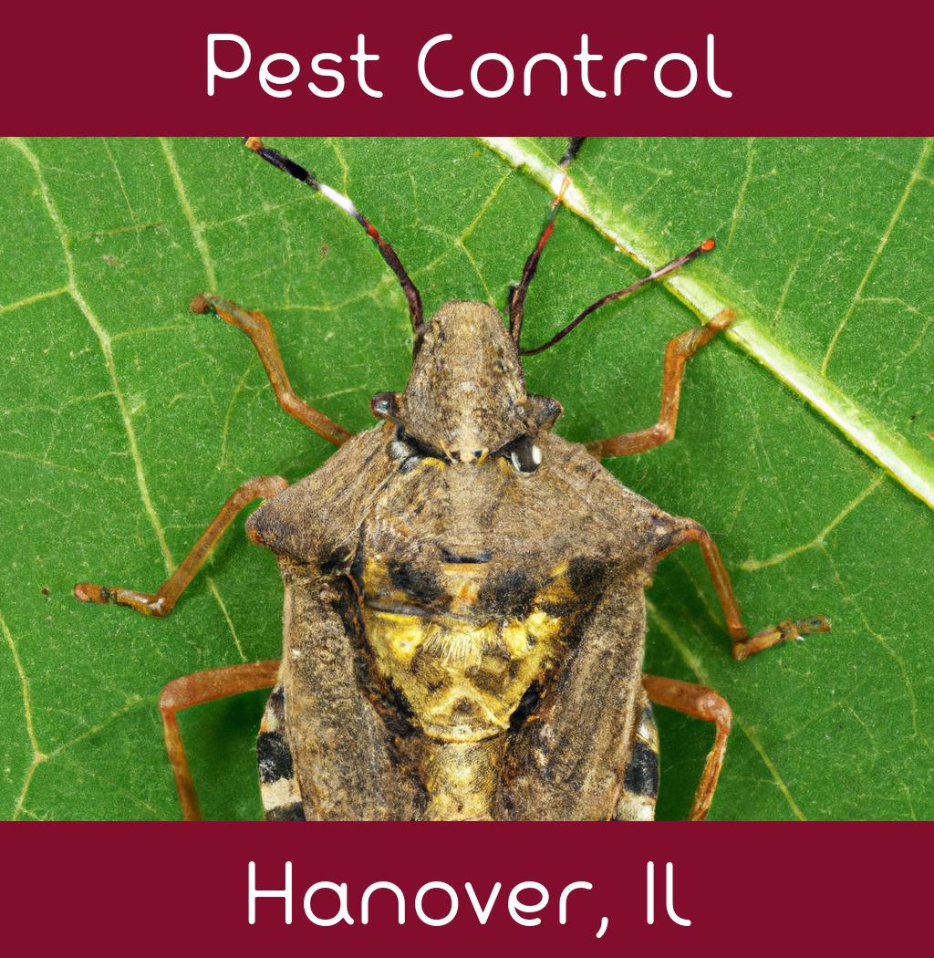 pest control in Hanover Illinois