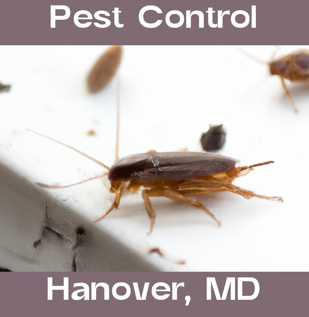 pest control in Hanover Maryland