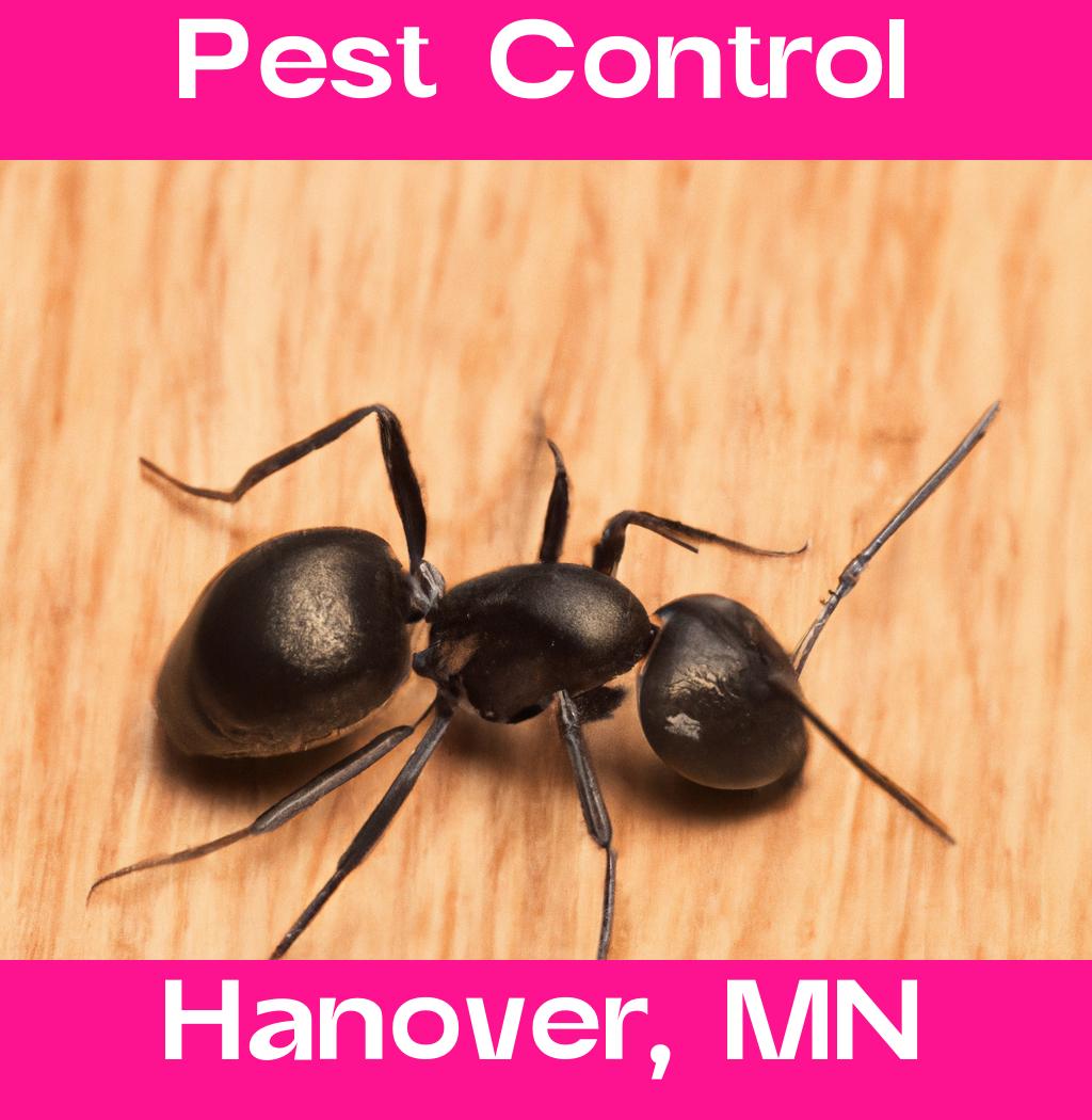 pest control in Hanover Minnesota