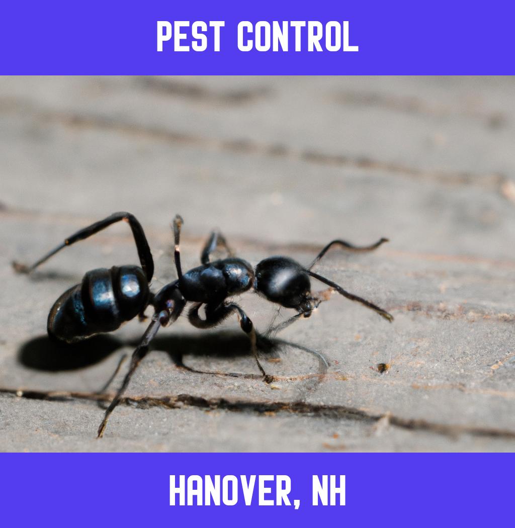 pest control in Hanover New Hampshire
