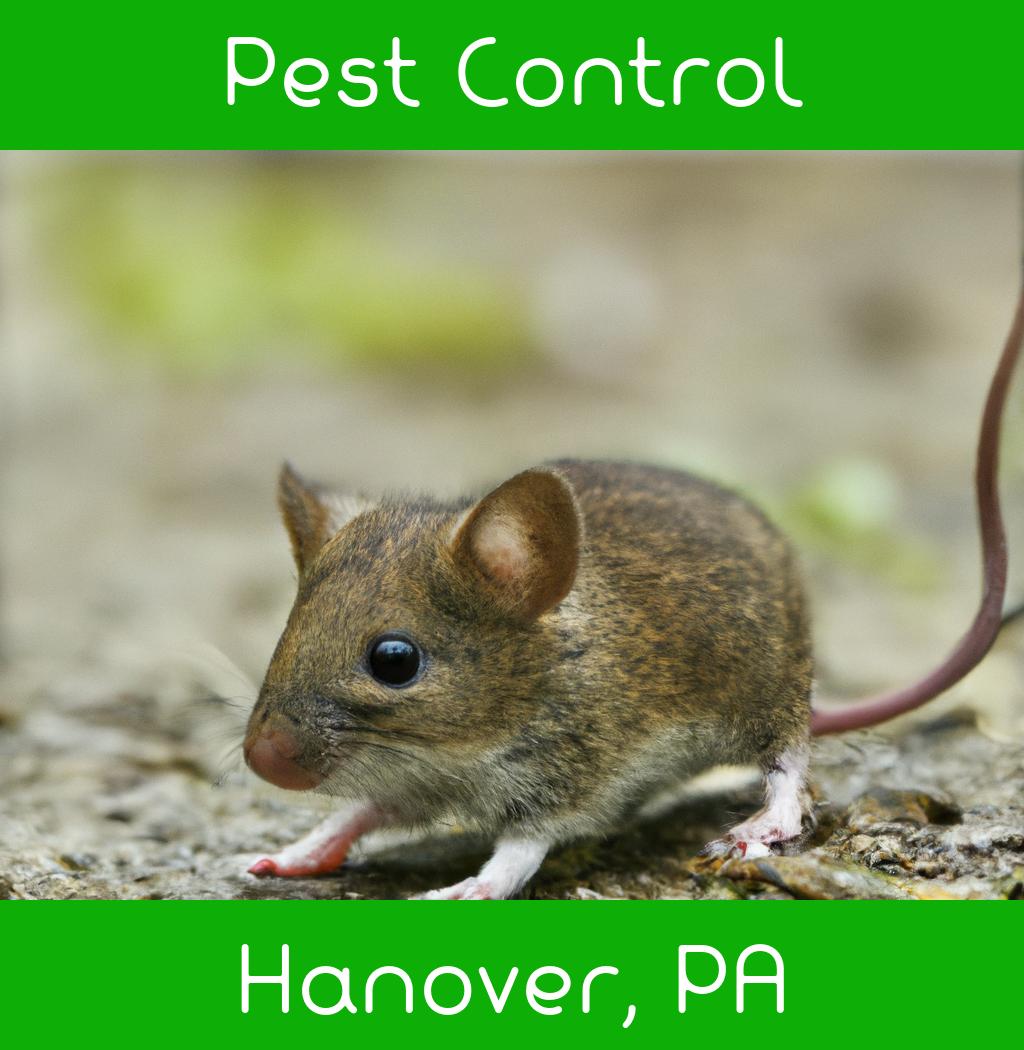 pest control in Hanover Pennsylvania