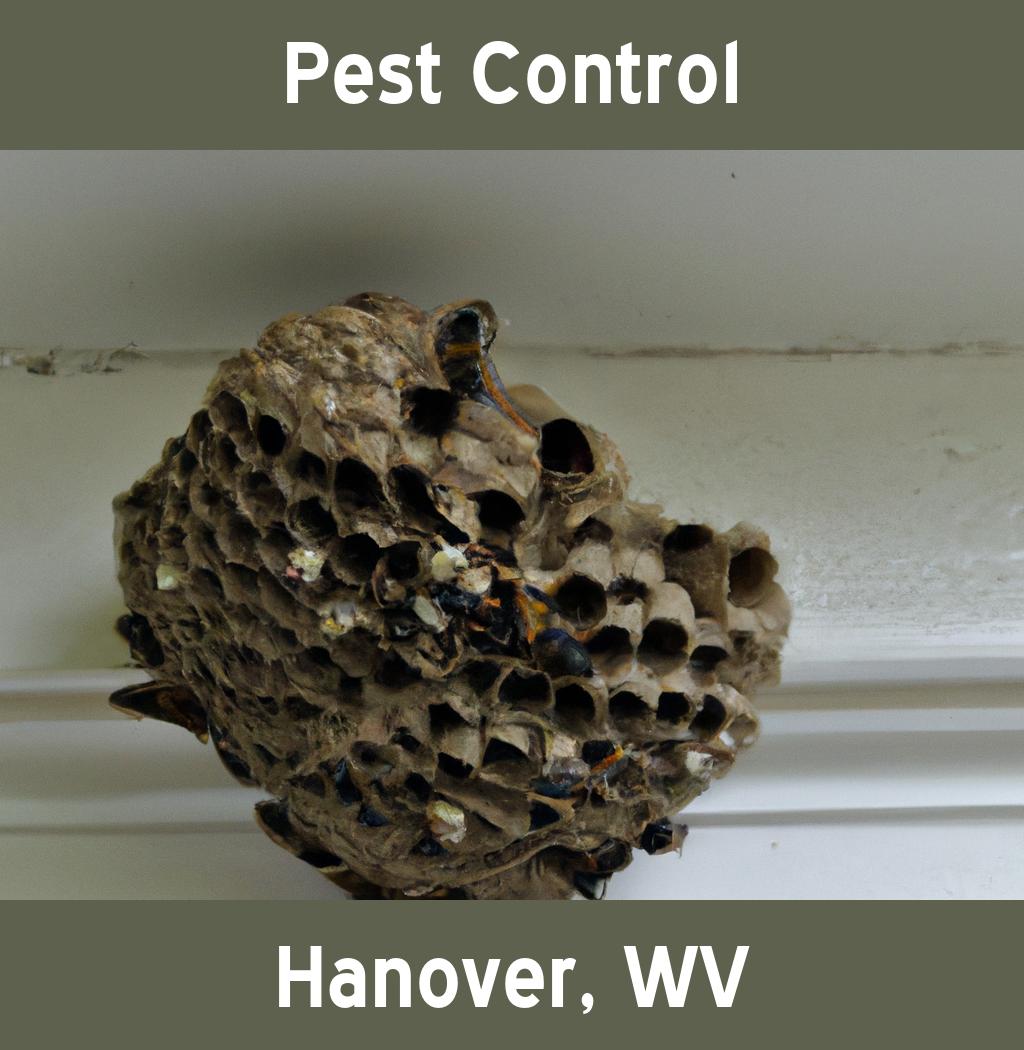 pest control in Hanover West Virginia