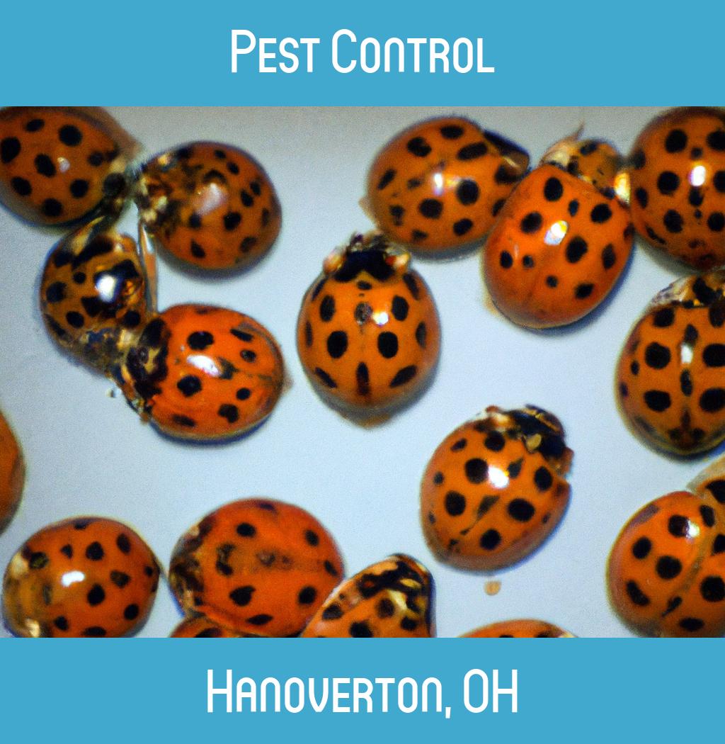 pest control in Hanoverton Ohio