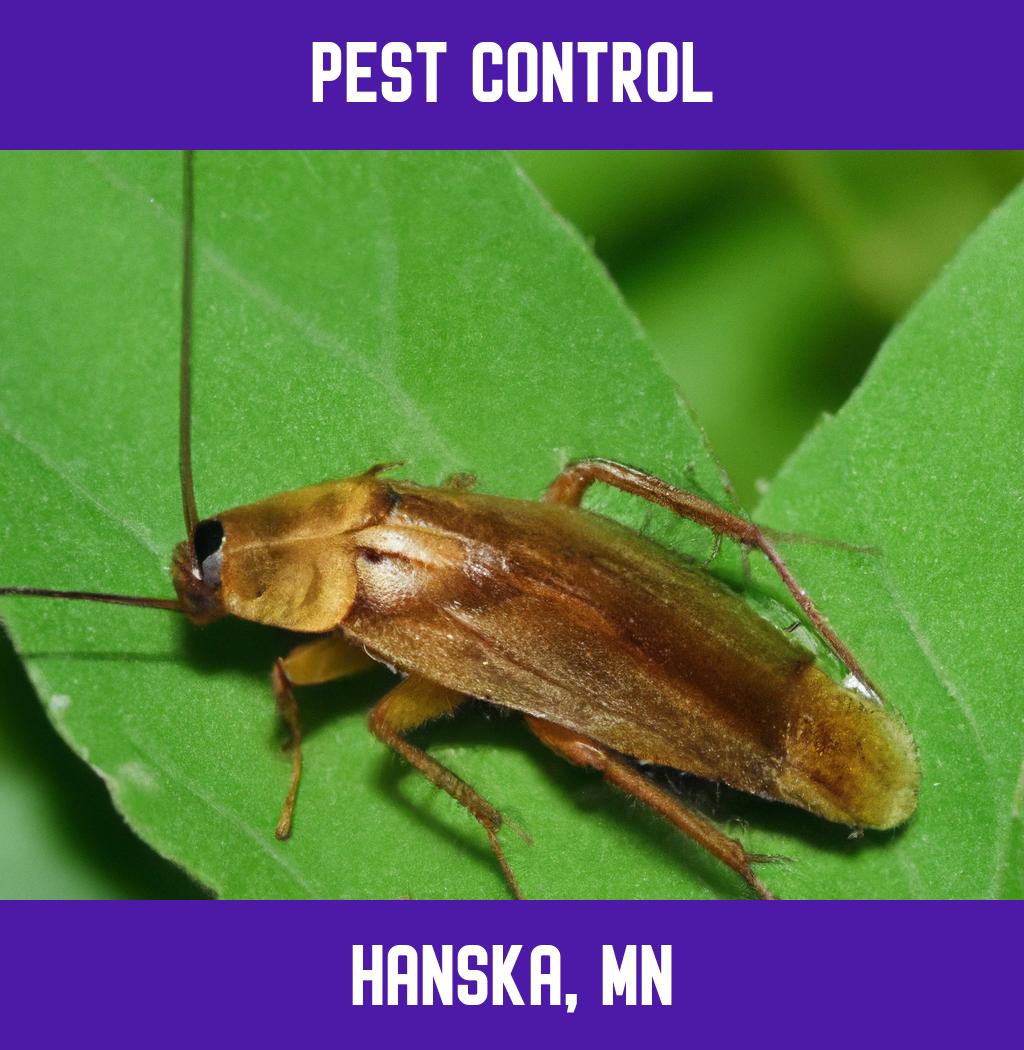 pest control in Hanska Minnesota