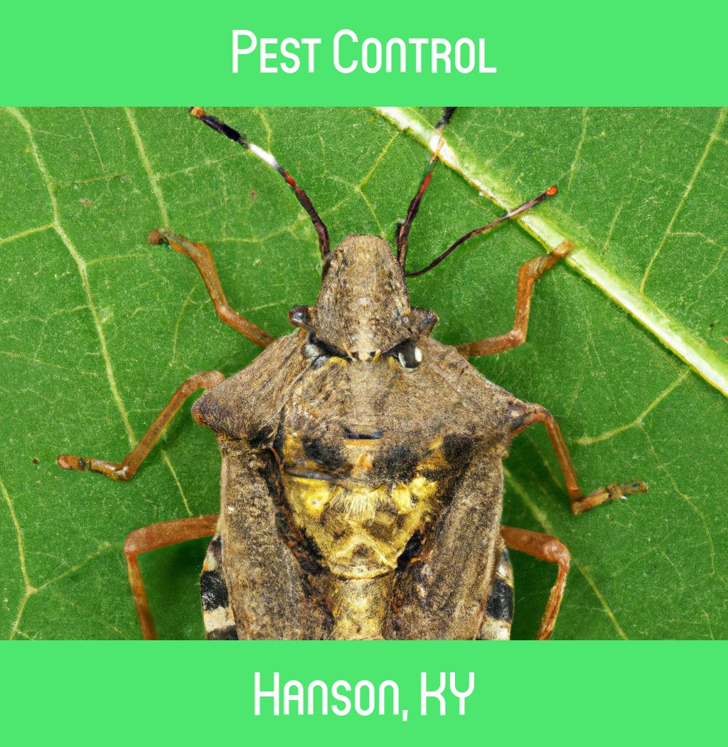 pest control in Hanson Kentucky