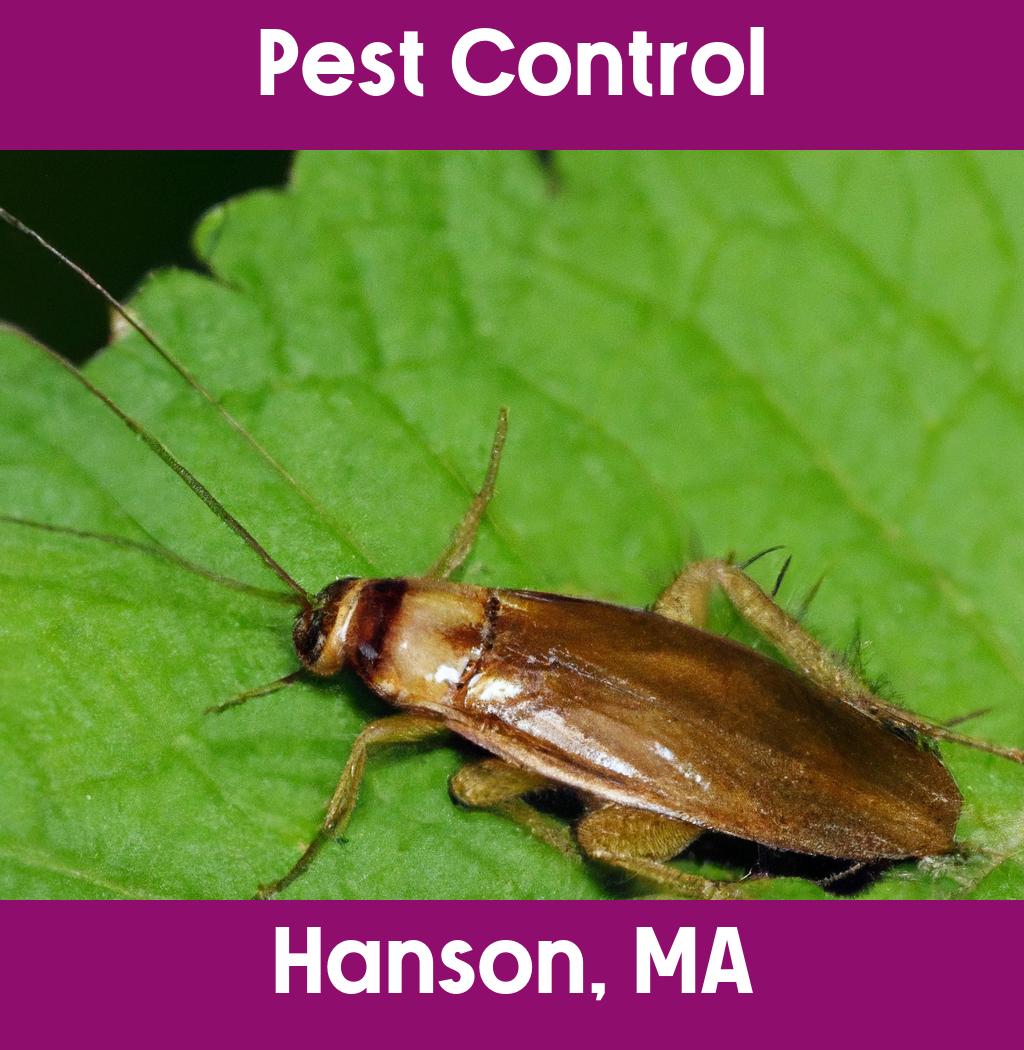 pest control in Hanson Massachusetts
