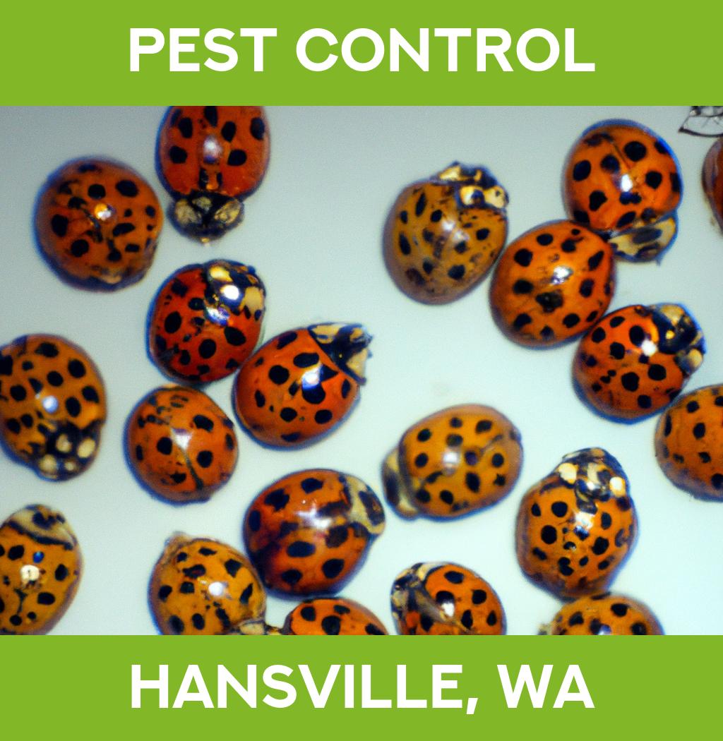 pest control in Hansville Washington