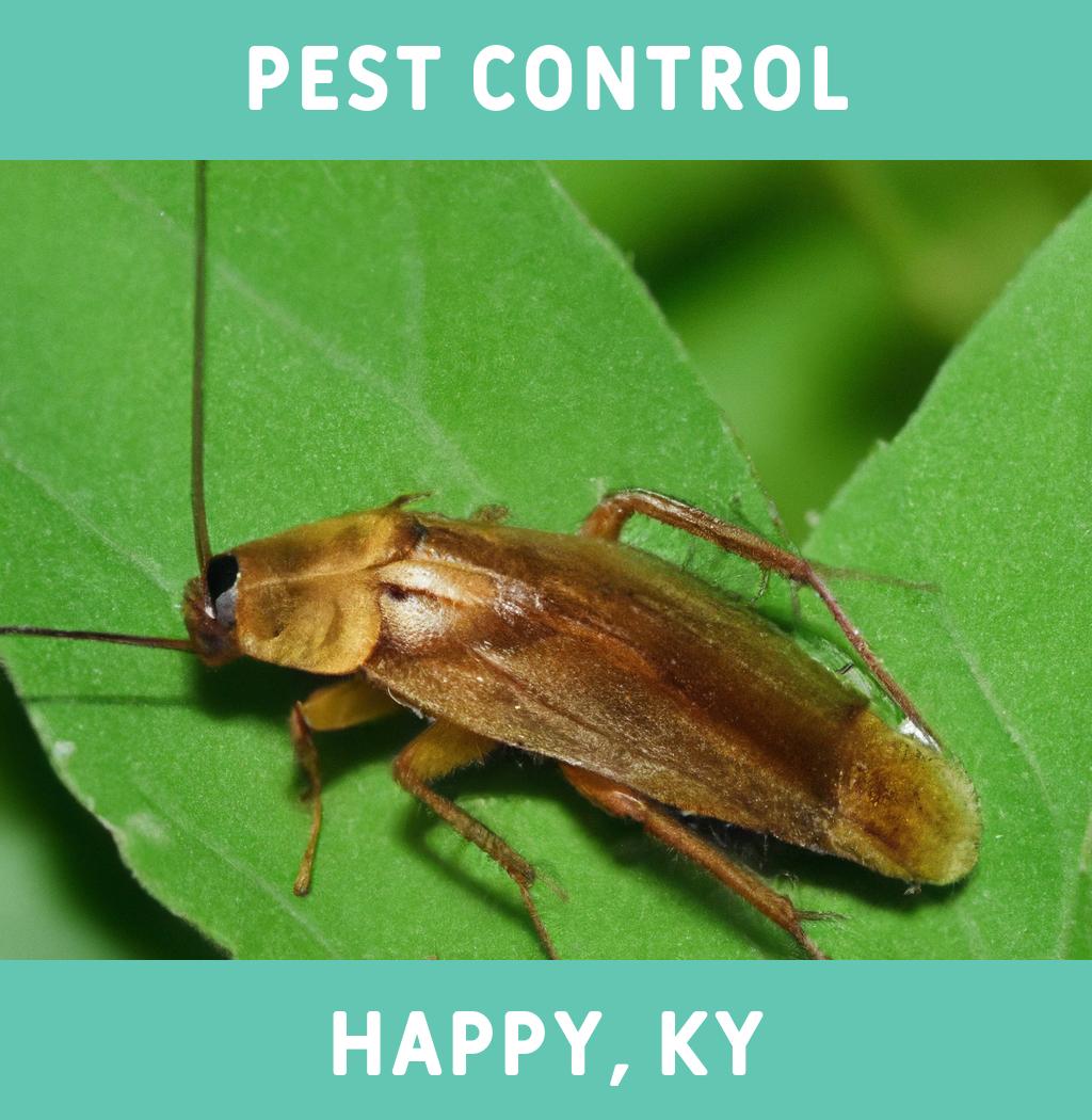 pest control in Happy Kentucky