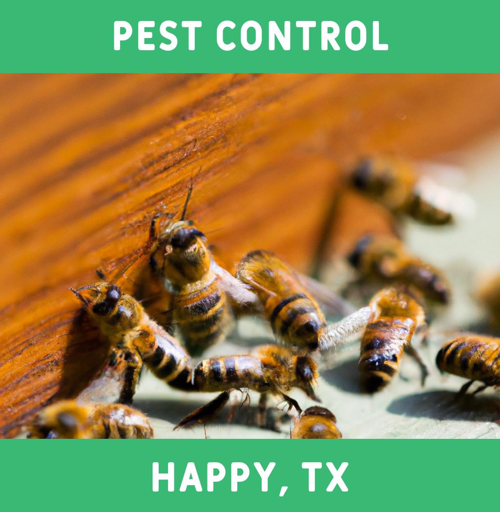 pest control in Happy Texas