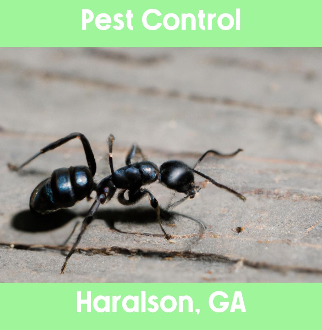 pest control in Haralson Georgia