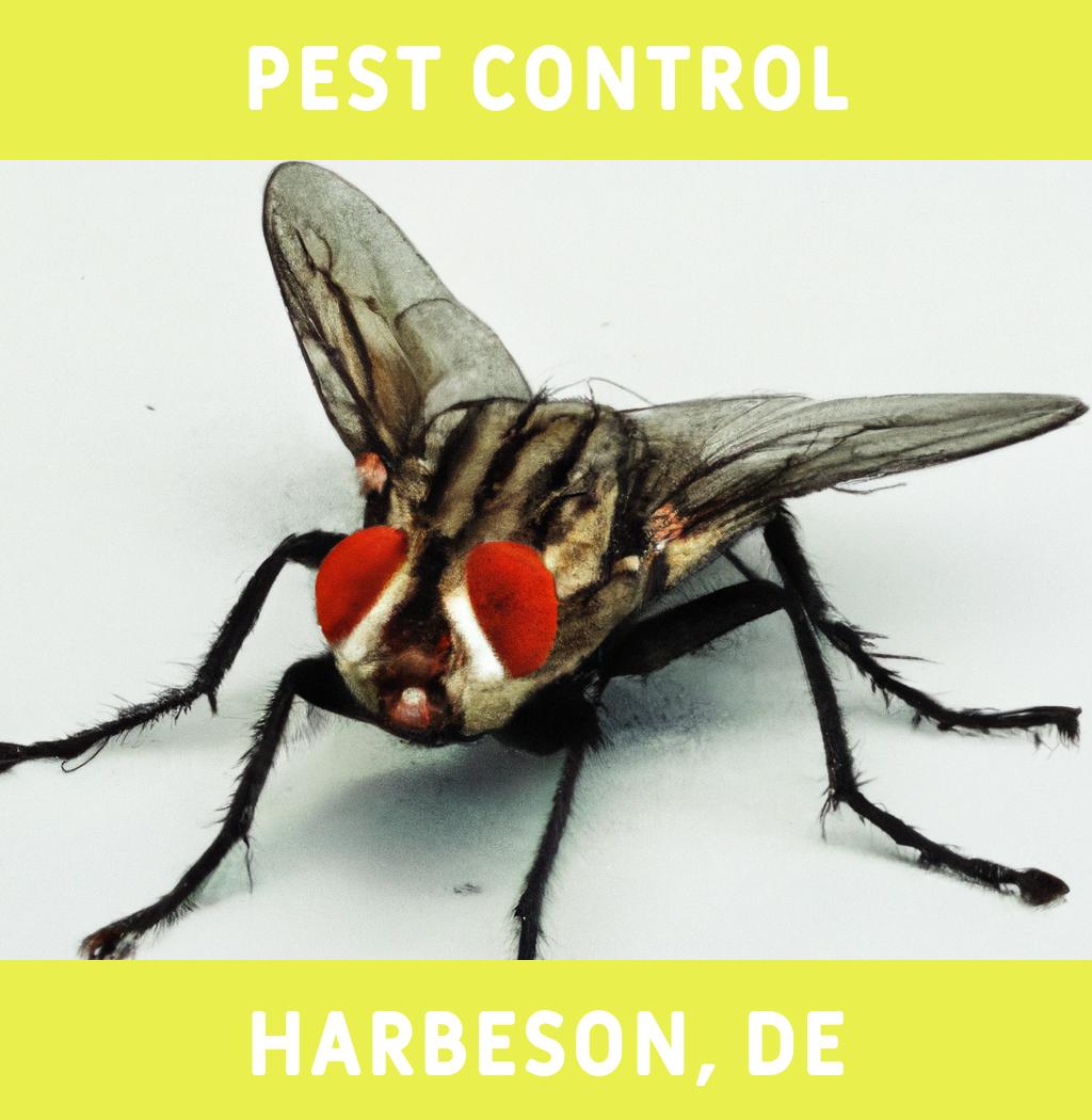 pest control in Harbeson Delaware