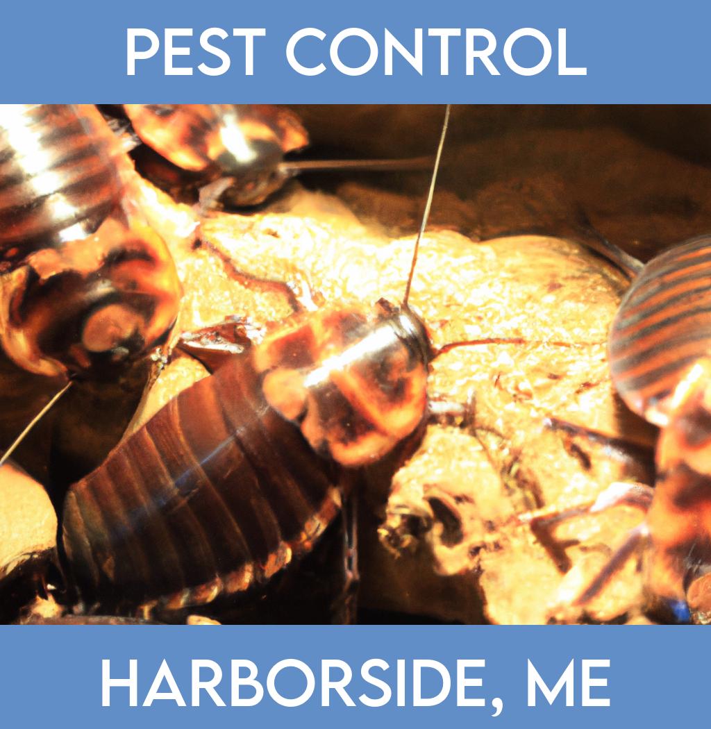 pest control in Harborside Maine