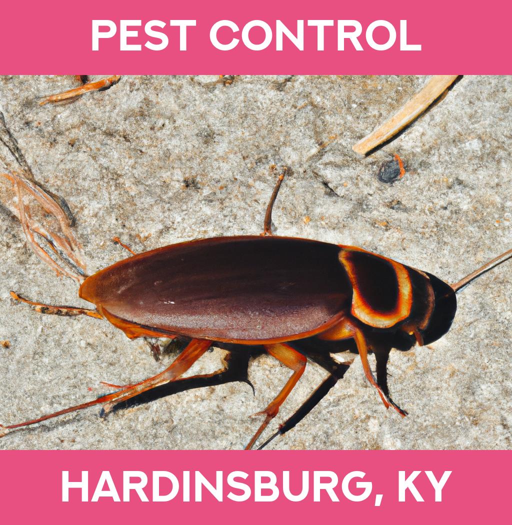 pest control in Hardinsburg Kentucky