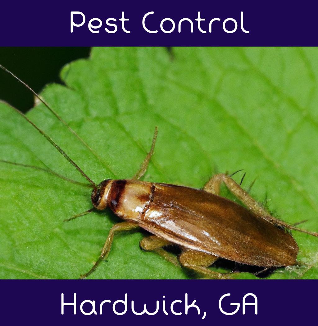 pest control in Hardwick Georgia