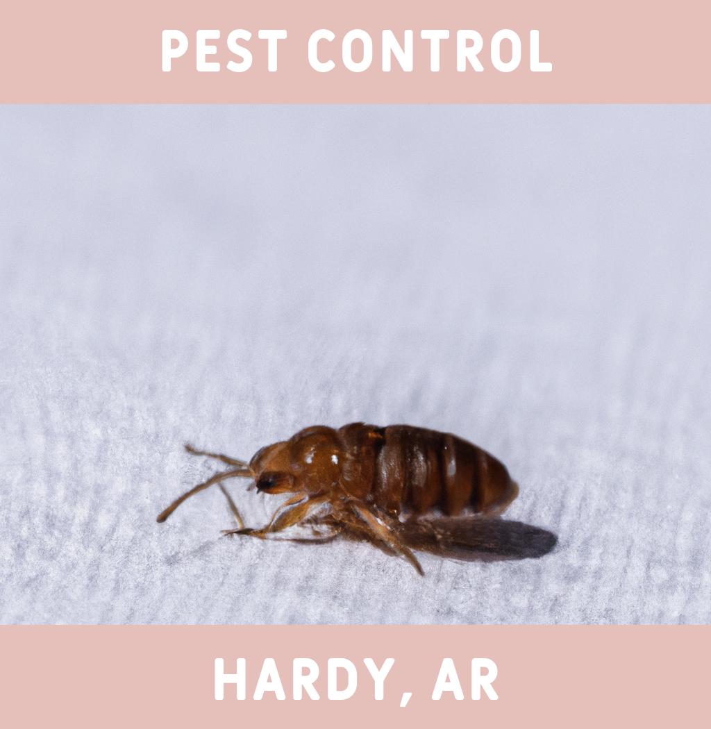 pest control in Hardy Arkansas