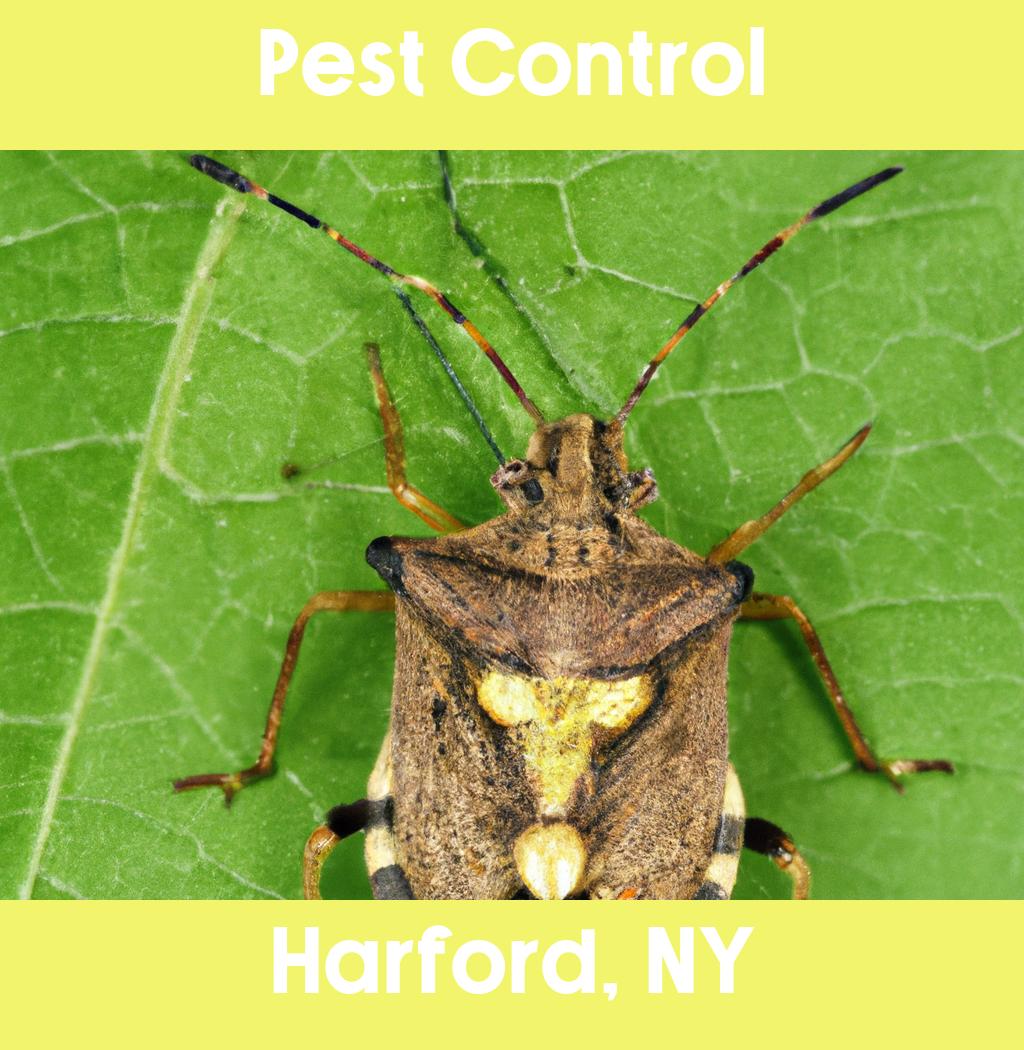 pest control in Harford New York