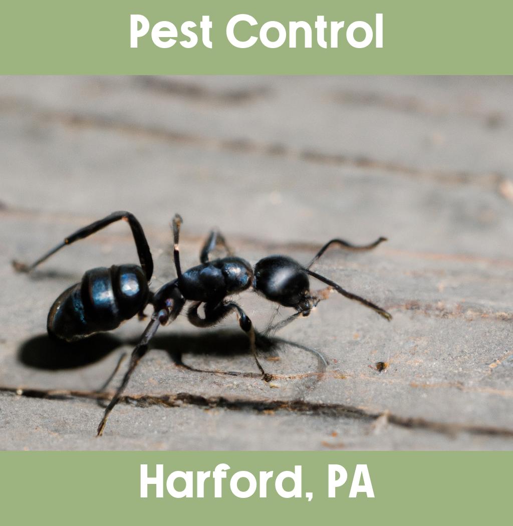 pest control in Harford Pennsylvania