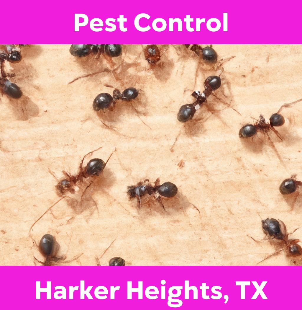 pest control in Harker Heights Texas