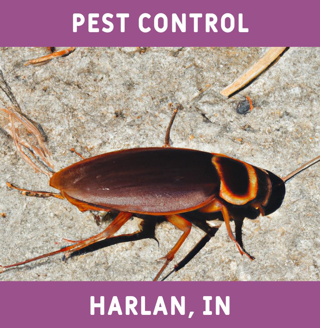 pest control in Harlan Indiana