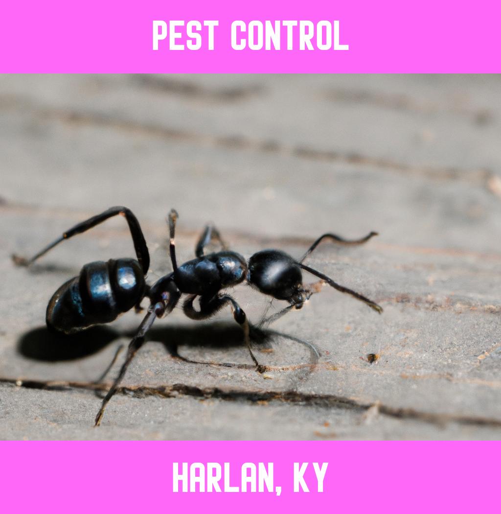 pest control in Harlan Kentucky