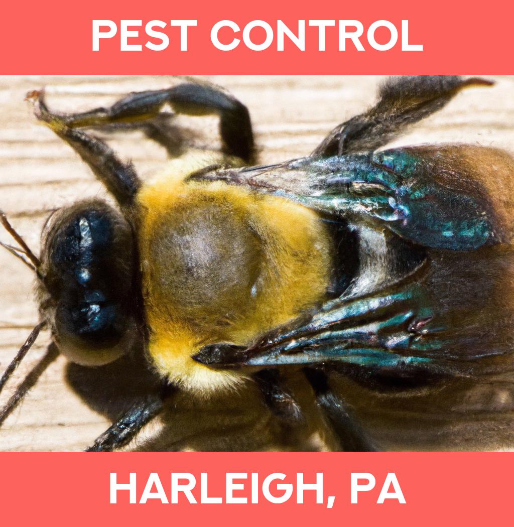 pest control in Harleigh Pennsylvania
