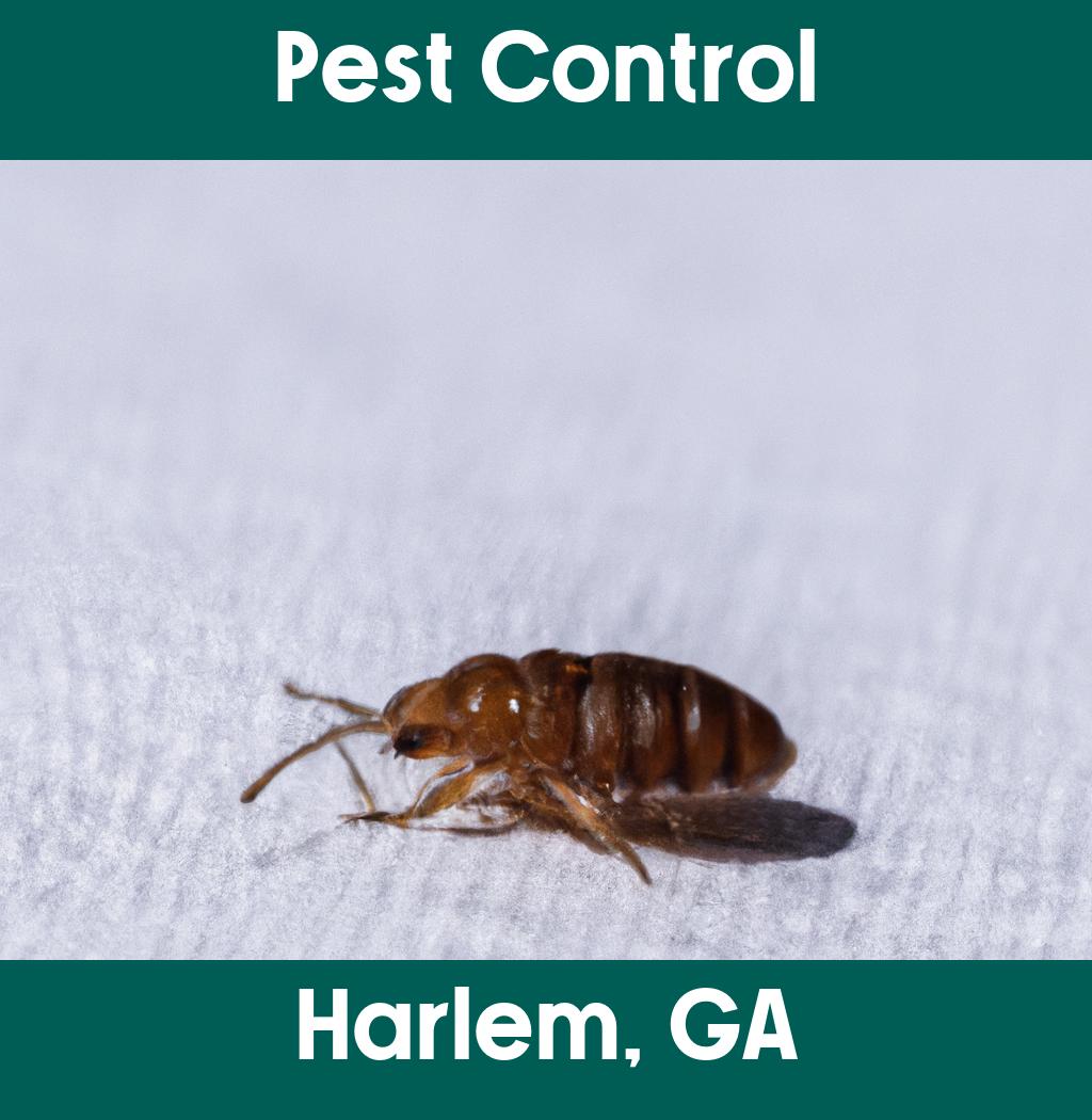 pest control in Harlem Georgia