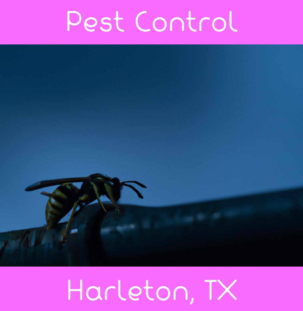 pest control in Harleton Texas