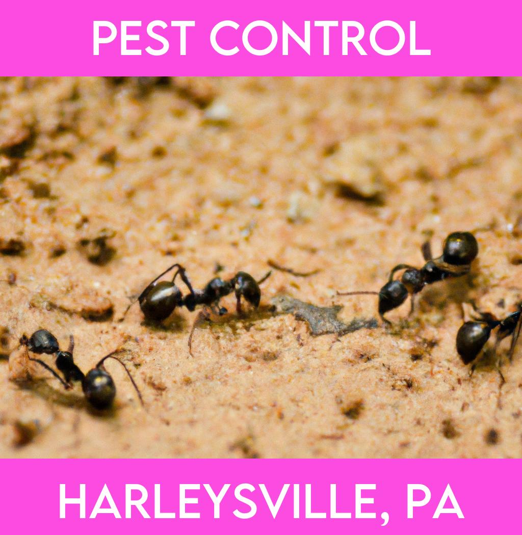 pest control in Harleysville Pennsylvania