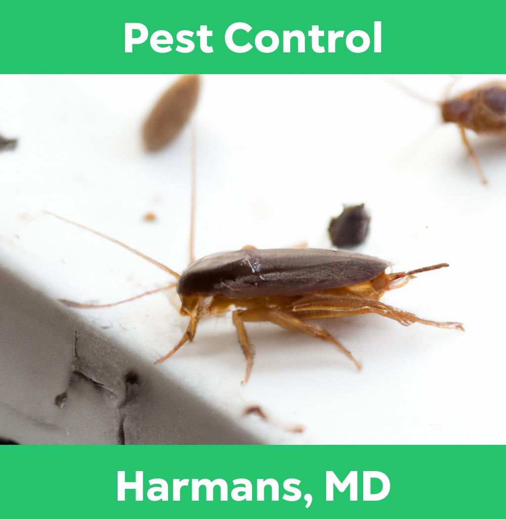 pest control in Harmans Maryland
