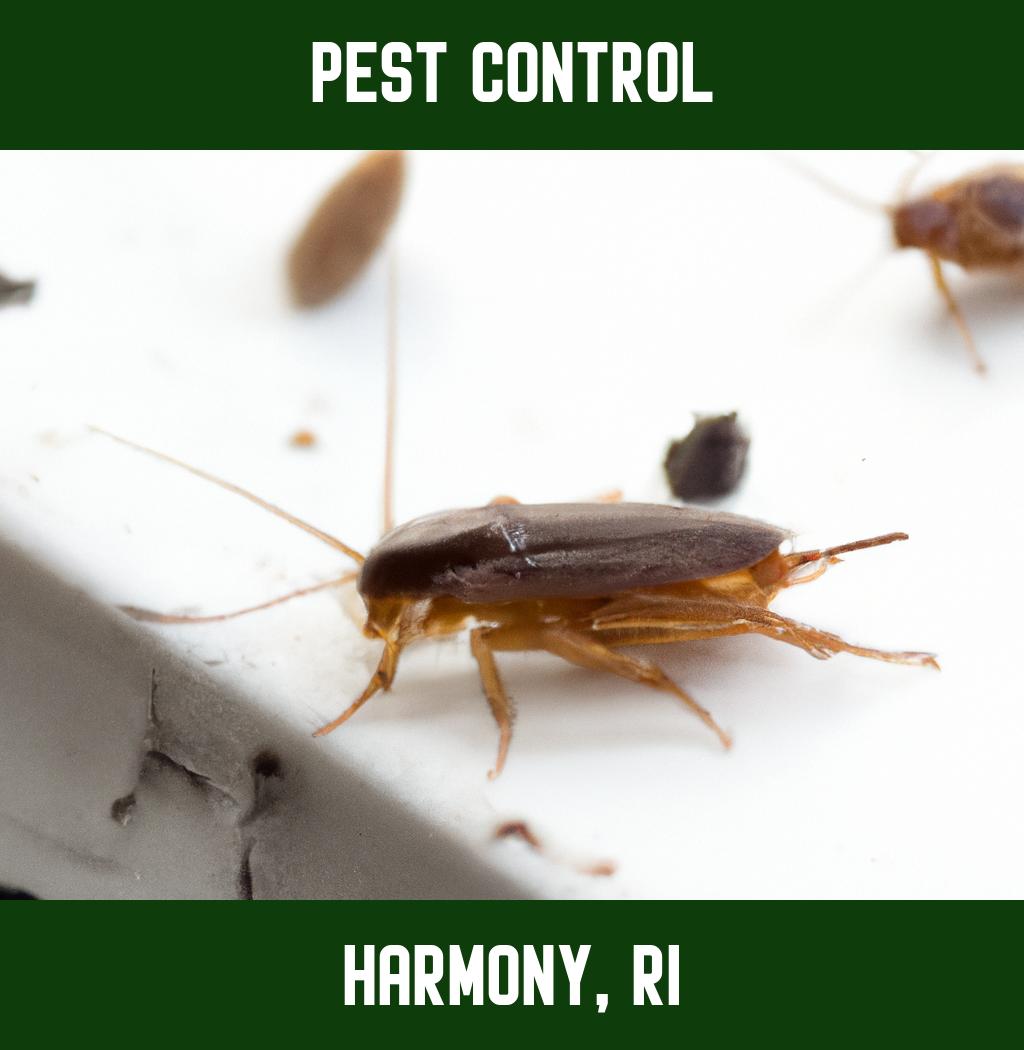 pest control in Harmony Rhode Island