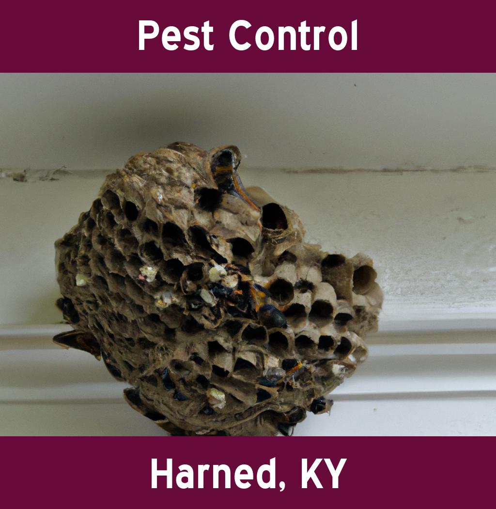 pest control in Harned Kentucky